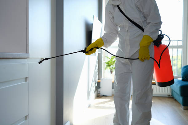 Best Emergency Mold Removal  in Orida Gulf Coast University, FL